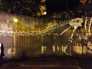Natural Science museum of Brussel