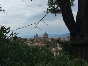 Brunelleschi's Dome of Florence
