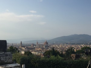 Florence view