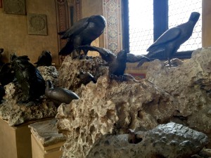 Birds sculptures by Giambologna