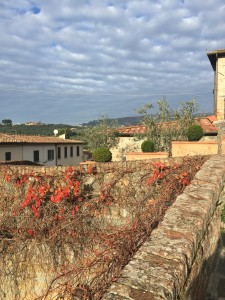 Vinci, Tuscany